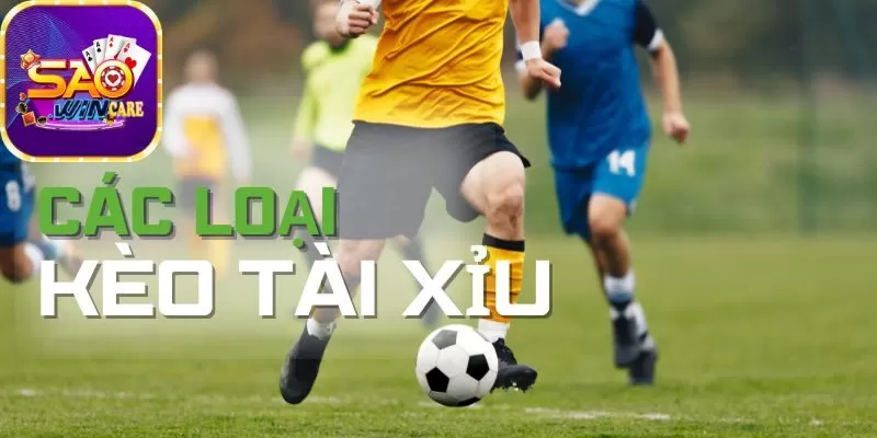 cac-loai-keo-tai-xiu-pho-bien-tren-thi-truong-bong-da-hien-nay